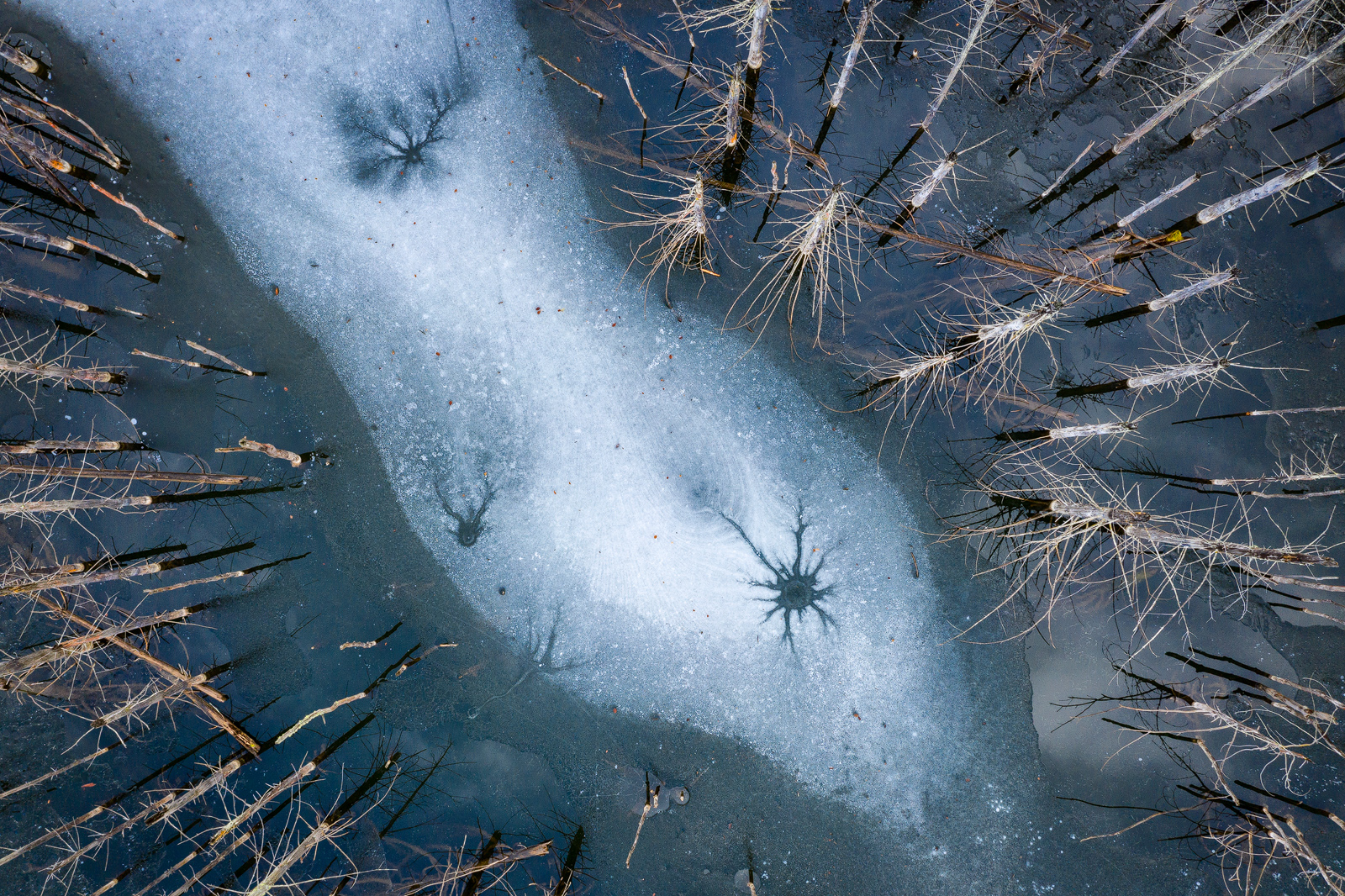 Cuejdel Lake - Photo22