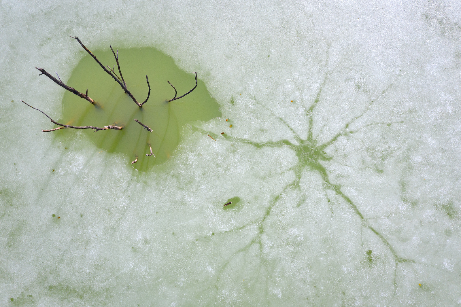 Cuejdel Lake - Photo36