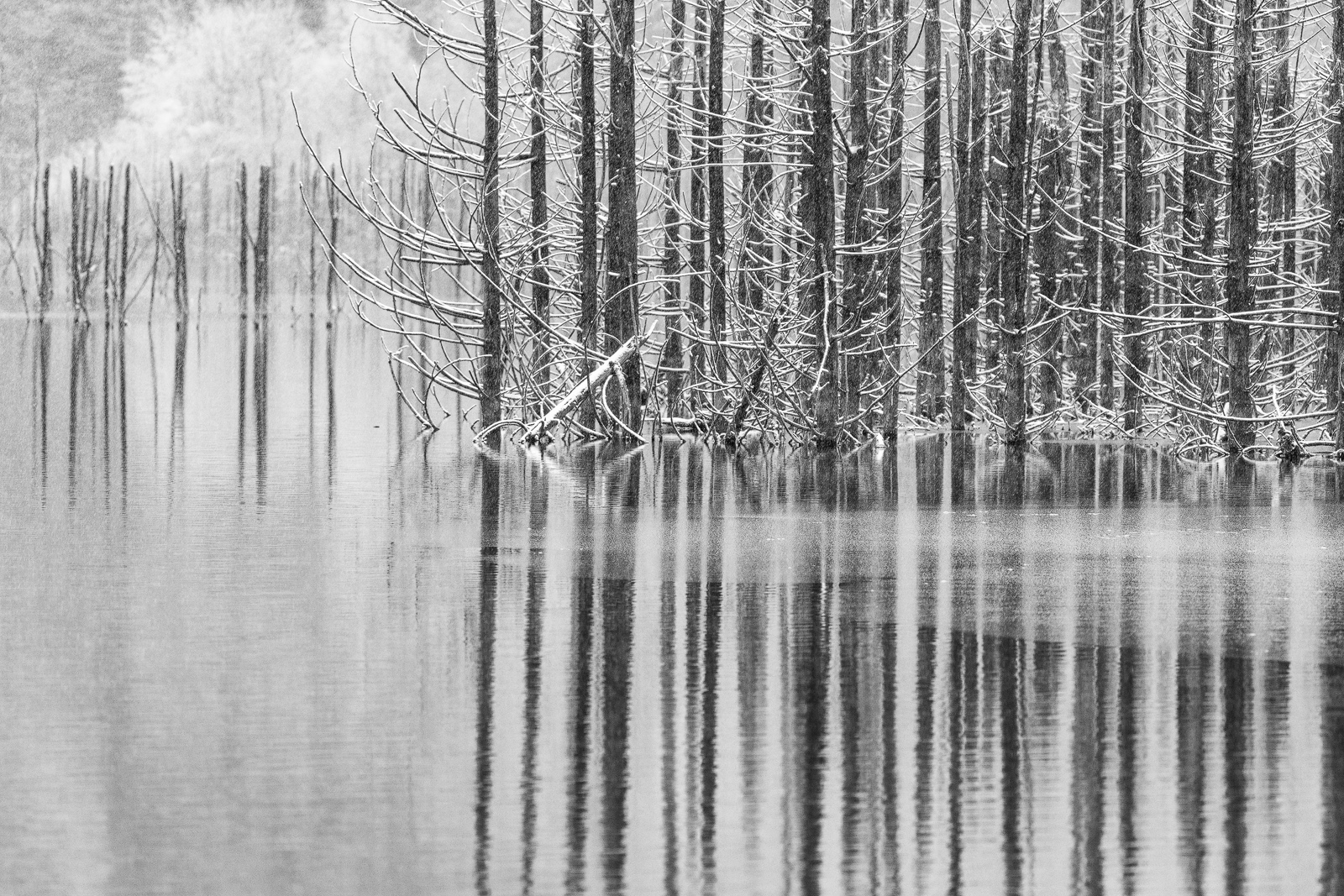 Cuejdel Lake - Photo57