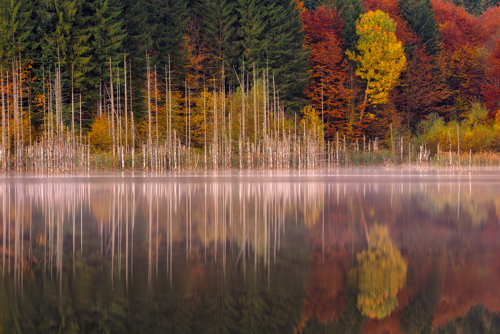 Cuejdel Lake - Photo41
