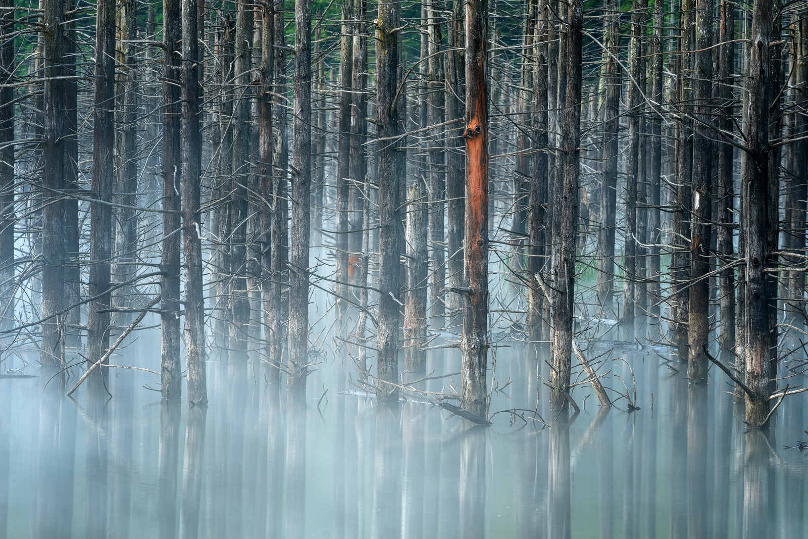 Cuejdel Lake - Photo9