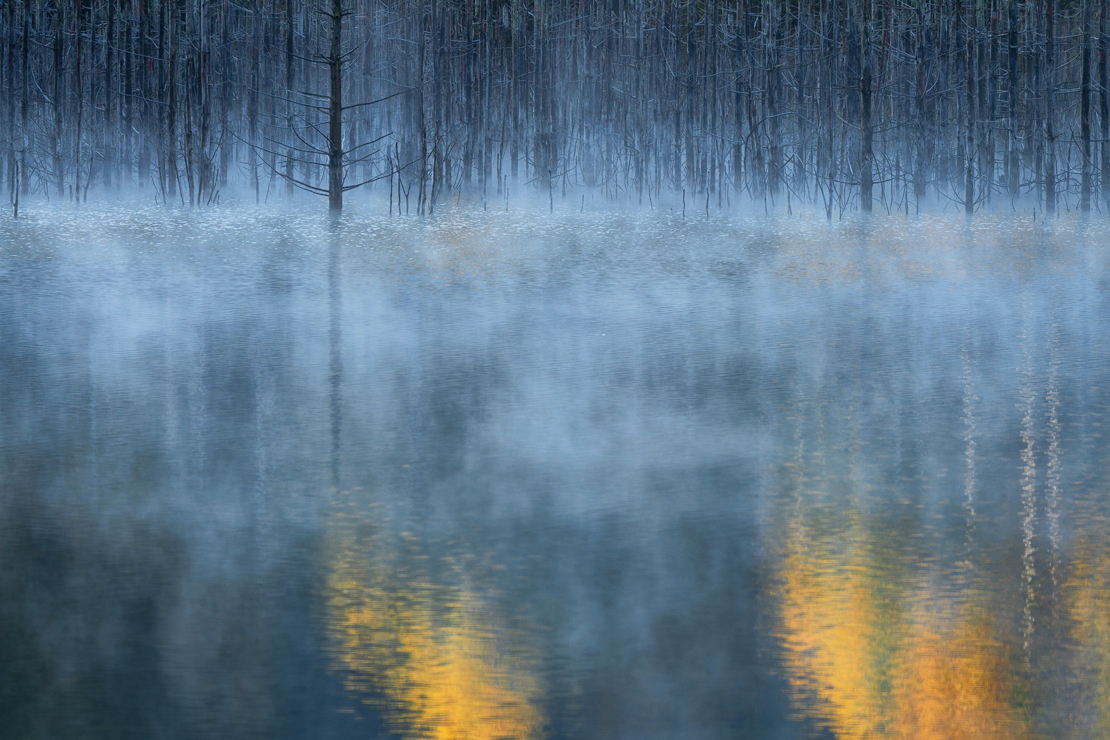 Recent Work - Photo13