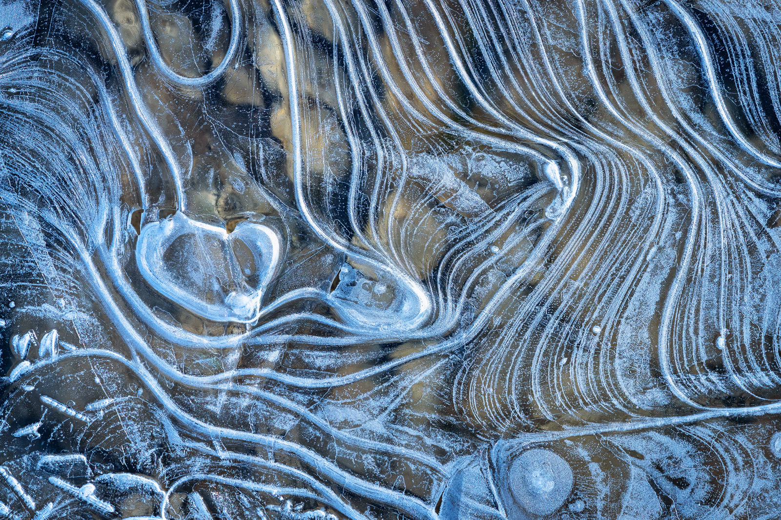 Recent Work - Photo12