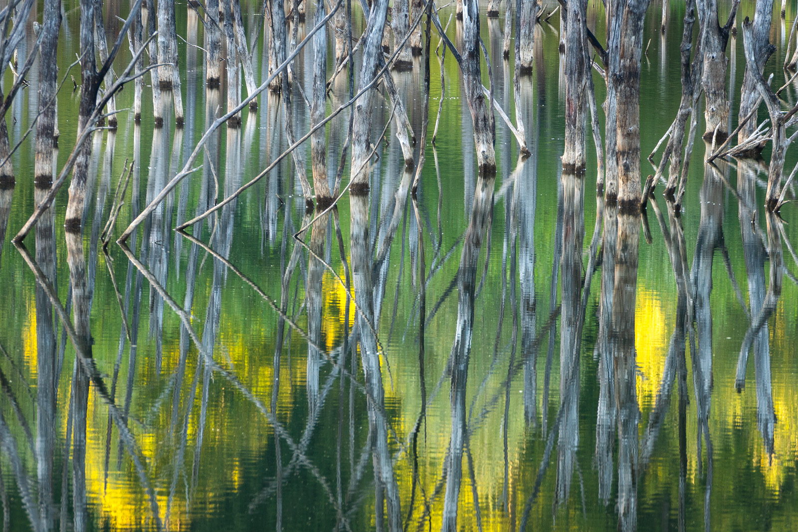 Cuejdel Lake - Photo42