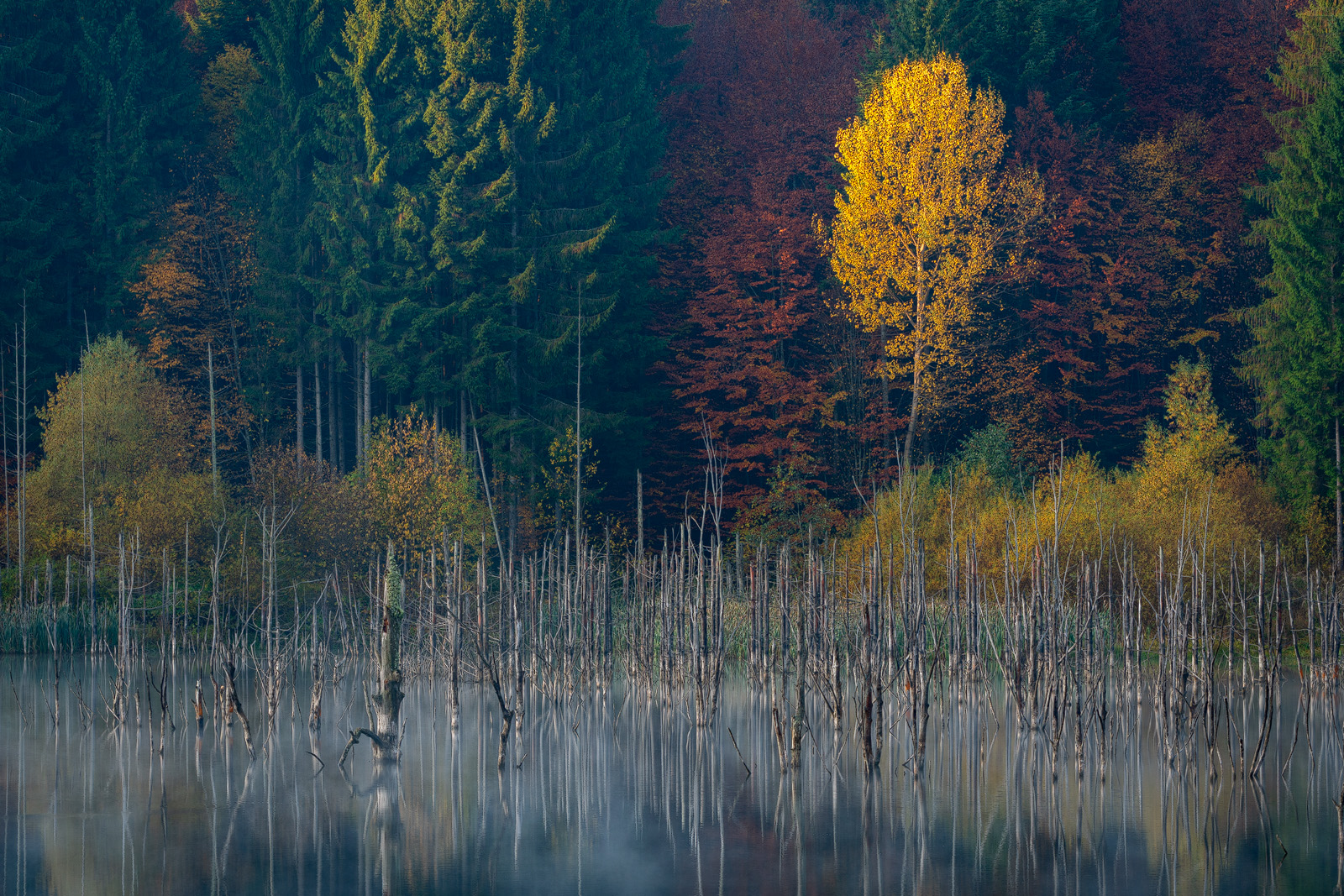 Cuejdel Lake - Photo34