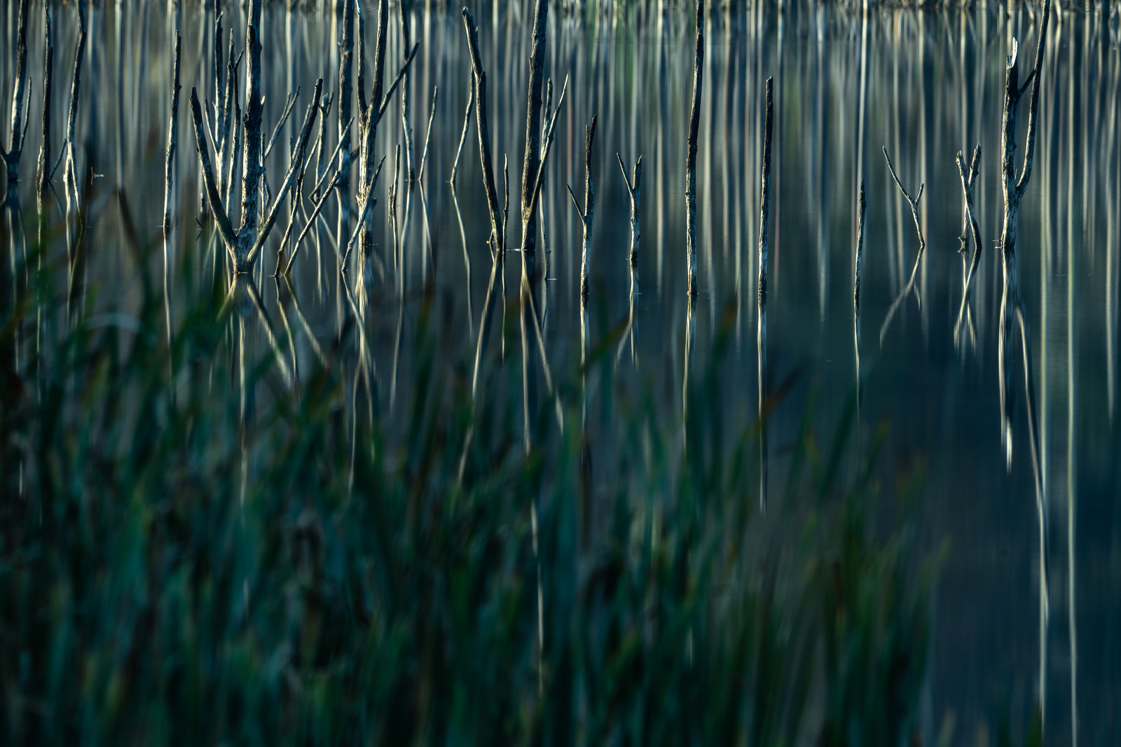 Cuejdel Lake - Photo26