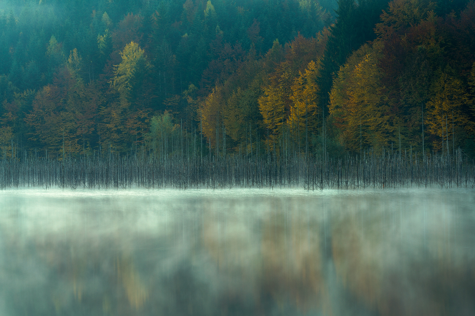 Cuejdel Lake - Photo16