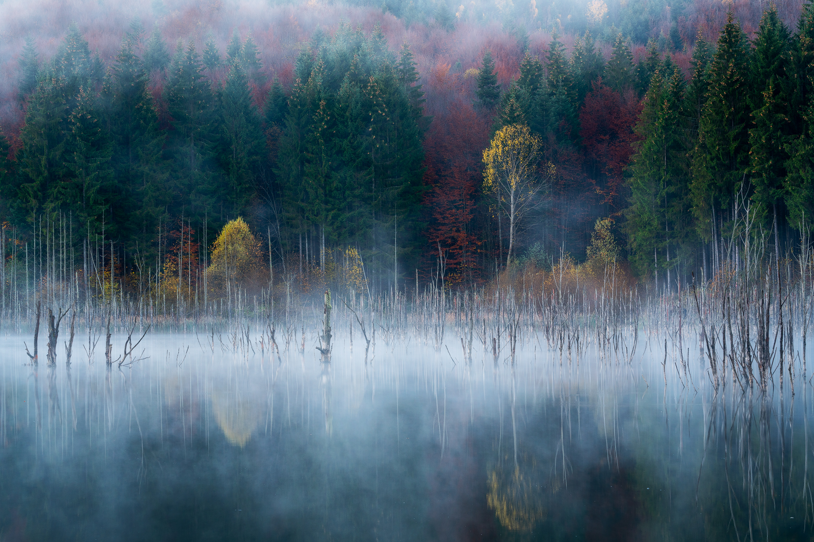 Cuejdel Lake - Photo12