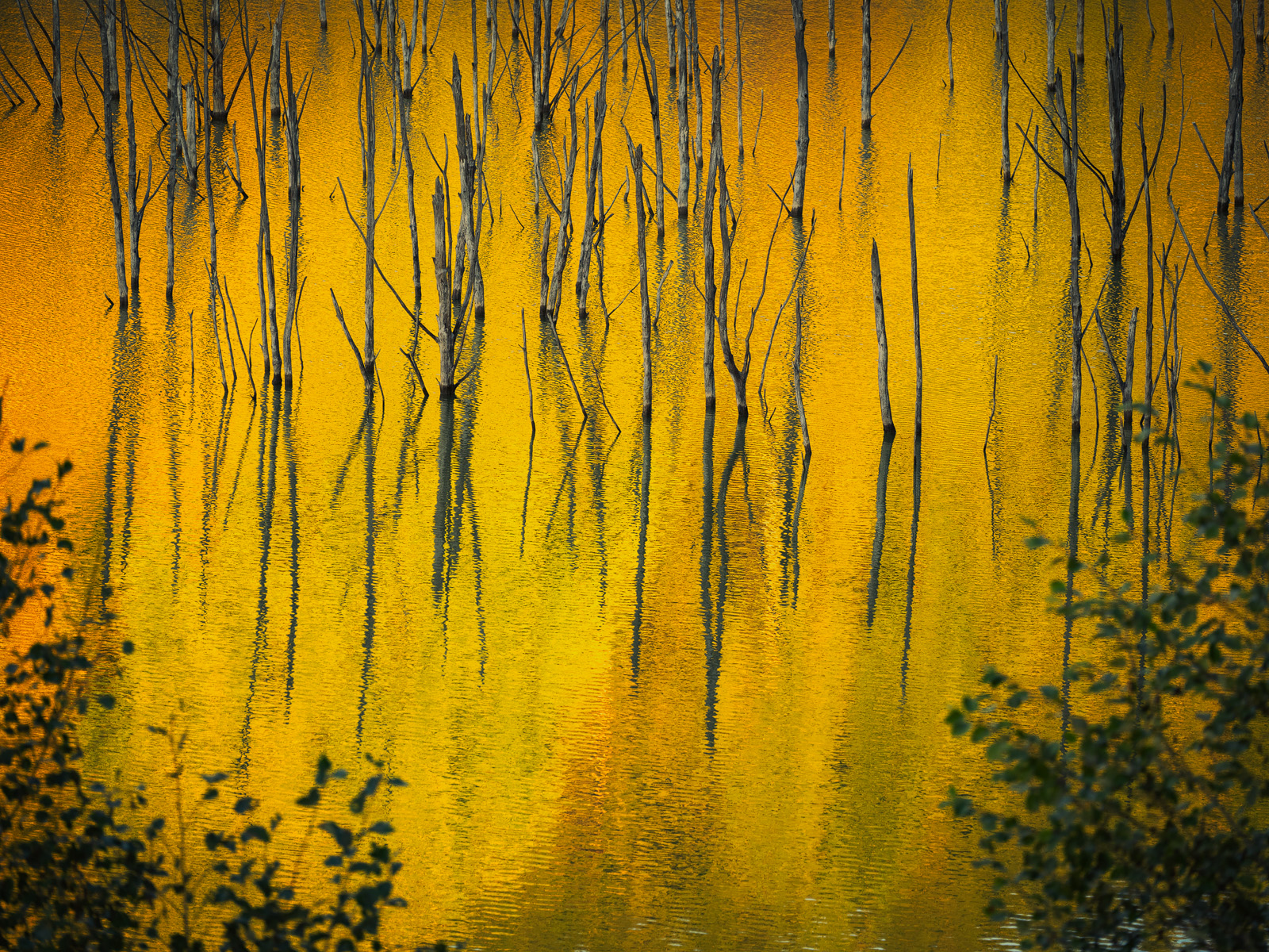 Recent Work - Photo18