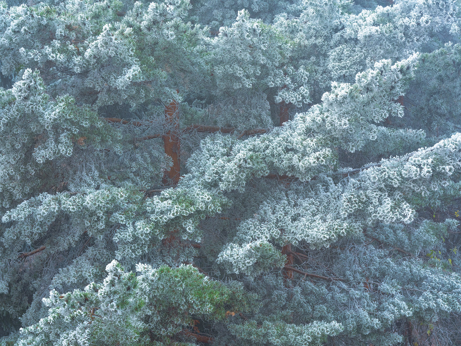 Recent Work - Photo7