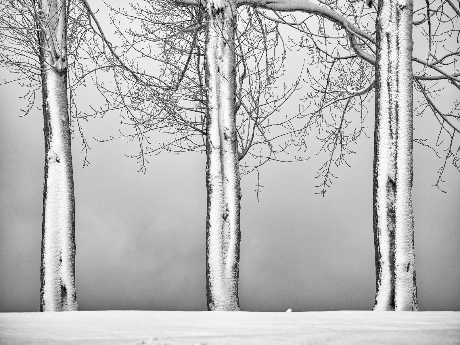 Recent Work - Photo9