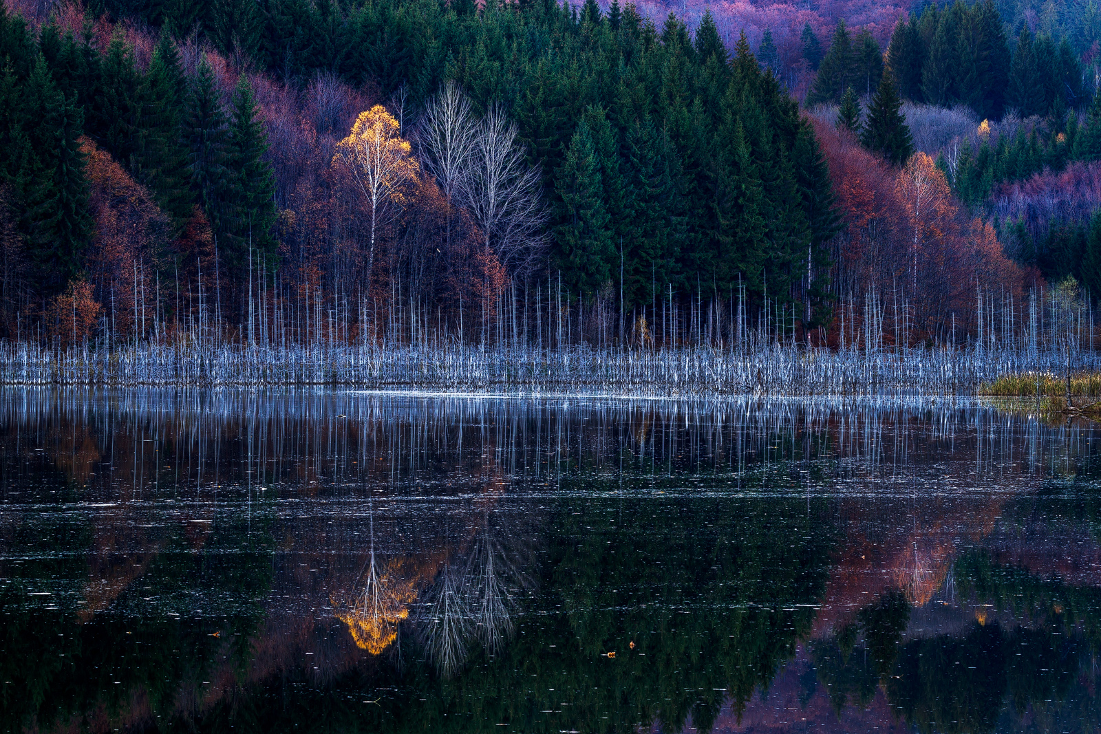 Cuejdel Lake - Photo30