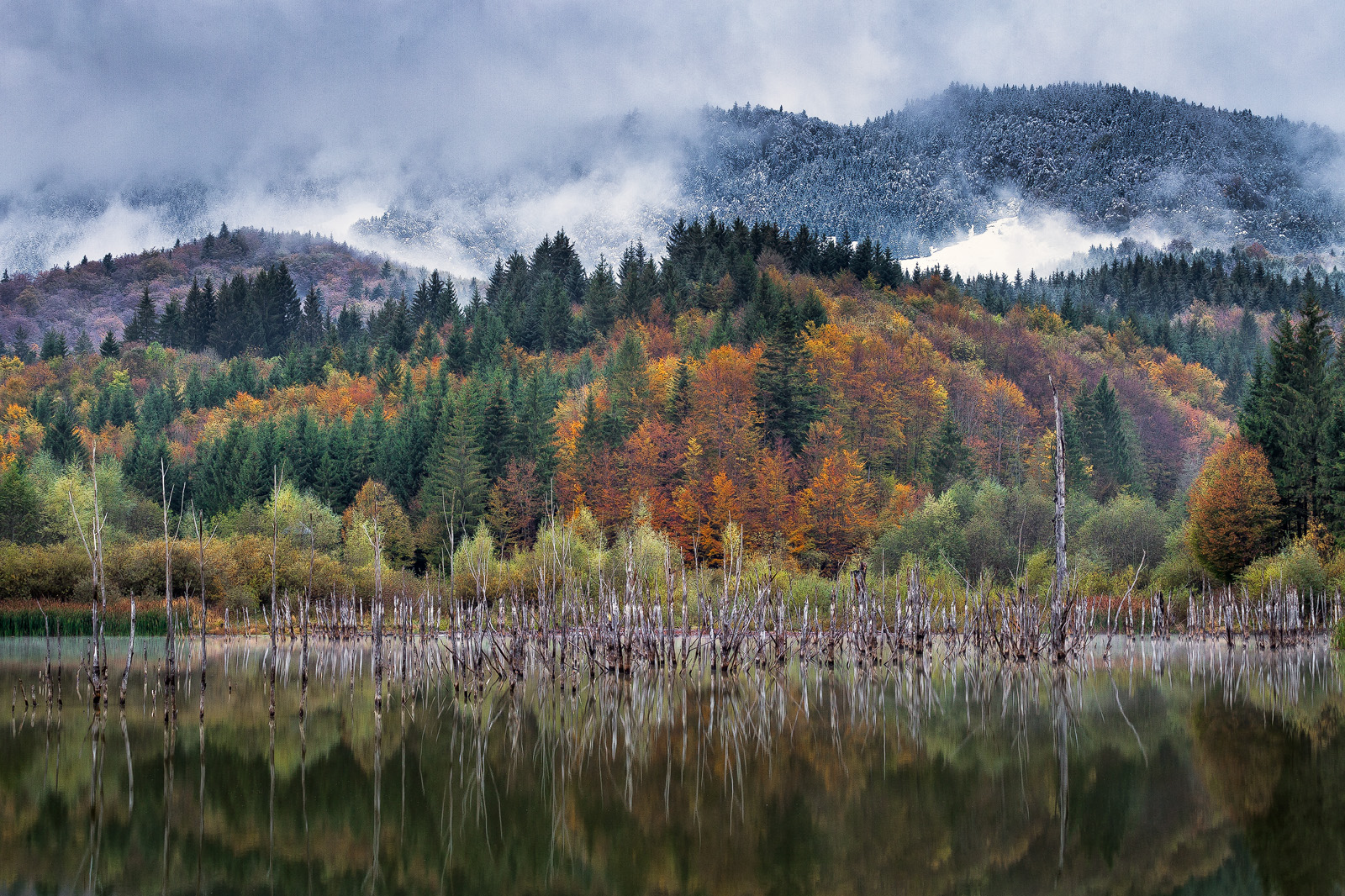 Cuejdel Lake - Photo50