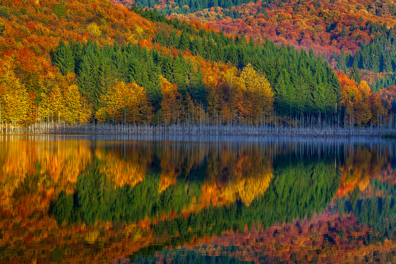 Cuejdel Lake - Photo48
