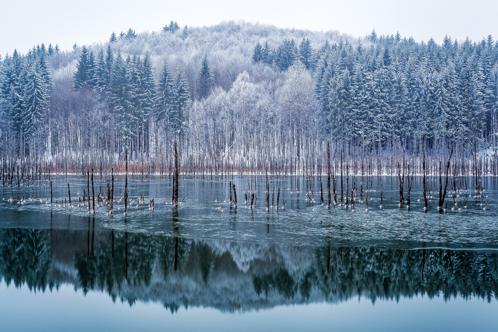 Cuejdel Lake - Photo10