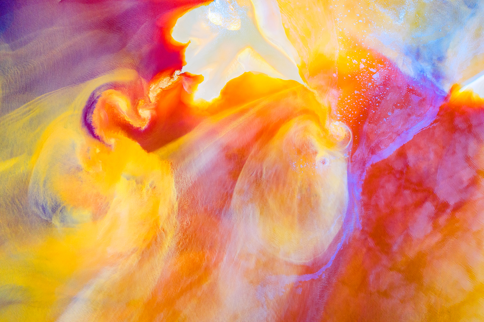 Poisoned Beauty - Photo2