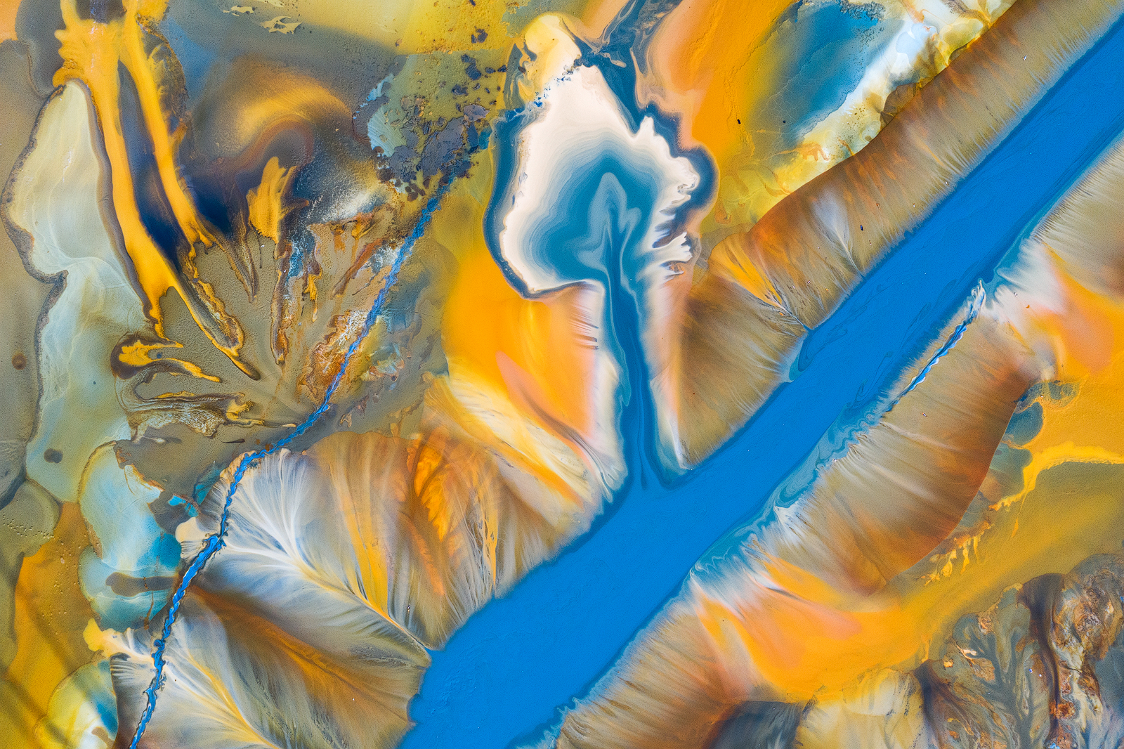 Poisoned Beauty - Photo24